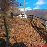 Bbb Bagneri